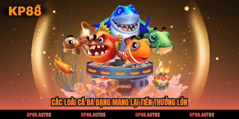 Các loài cá đa dạng mang lại tiền thưởng lớn