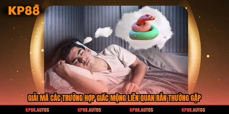 Giải mã các trường hợp giấc mộng liên quan rắn thường gặp