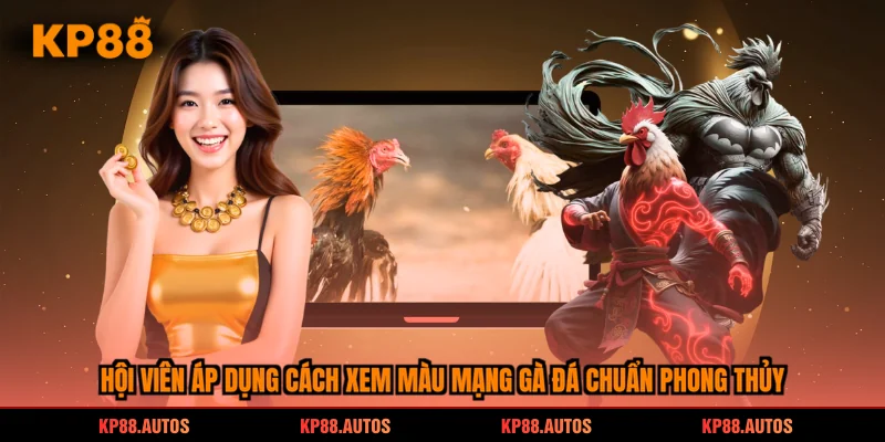 Hội viên áp dụng cách xem màu mạng gà đá chuẩn phong thủy